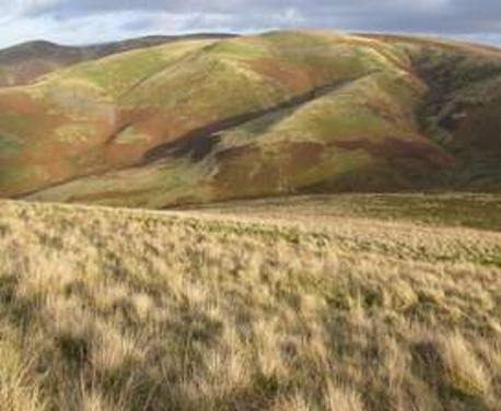 This walk takes you through the Borders within Northumberland National Park. Start and finish at the Border Hotel with a tea or a pint. There is vast amounts of rolling countryside, the hills provide a superb backdrop to some of the best walking.