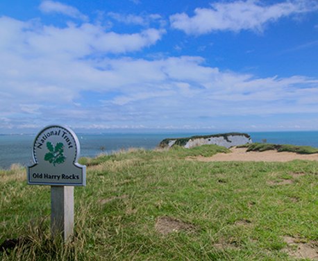 Old Harry Rocks are one of the most famous landmarks along the Jurassic Coast. The stroll from the car park is flat and then the extra loop that this walks entails does climb up a slight hill, the reward at the top is worth it.