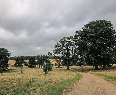 It’s so easy to get away from it all and enjoy a short walk in unspoilt countryside at incredible Ickworth