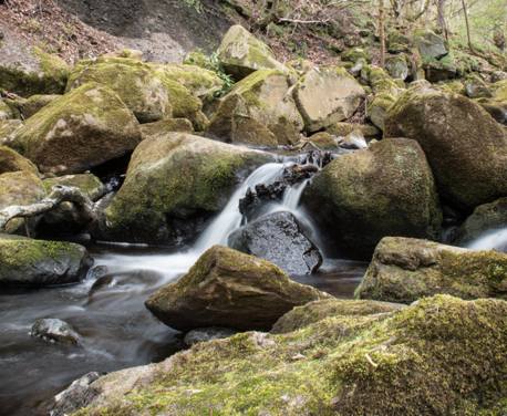 This is the National Trust’s Longshaw Walk in the Peak District.