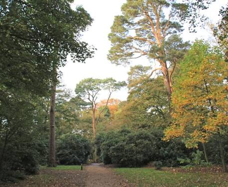 This wonderfully varied circular walk in Norfolk takes in famous parkland, diverse woodland and stunning clifftop views