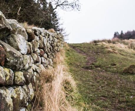 This is a beautiful walk and by starting at Housesteads you can look around the old roman fort to understand a bit about the history of Hadrians Wall ...