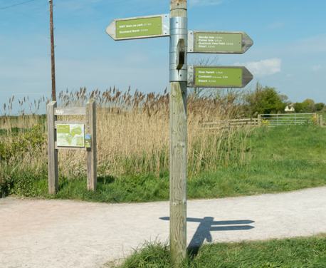 This is an easy walk around the Steart Marshes Nature Reserve, with disabled access to every area except the end of the peninsula.