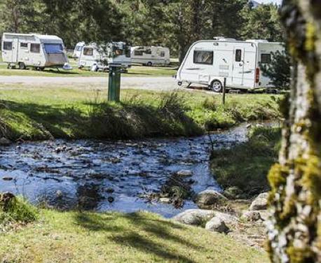 In the heart of the Cairngorms, Glenmore provides the perfect forest campsite in an area of outstanding natural beauty. As well as stunning scenery and mountain views, those holidaying at Glenmore may see deer, otters and even golden eagles as well as a host of other animals.