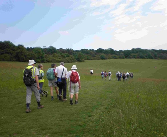 Blind Walkers' Group