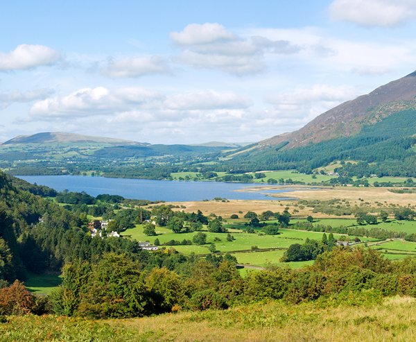 In this gentle circuit, woodland walking along the lower slopes of Ullock Pike is combined with paths across the elds beside Bassenthwaite, the district’s only true ‘lake’.