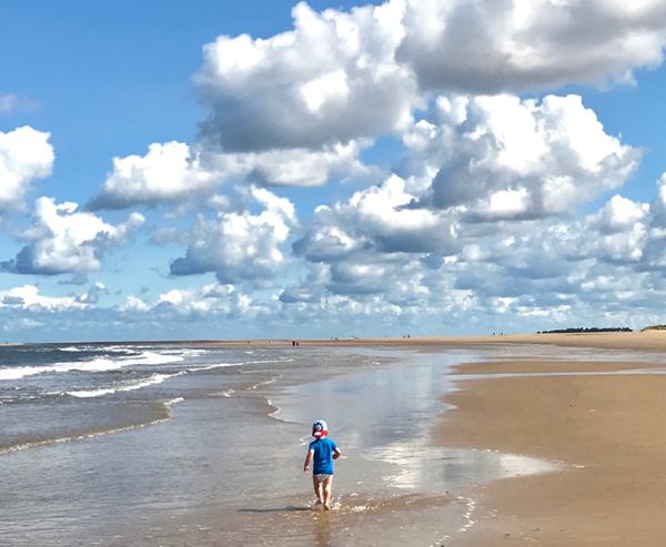 This short coastal walk explores the golden sands and pinewoods of Holkham Beach in Norfolk – perfect for families and walkers of all abilities.