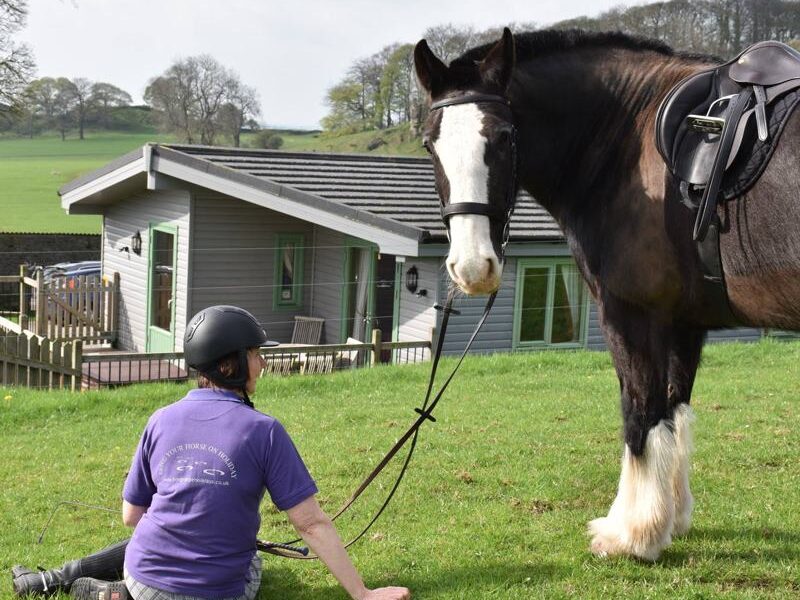 Bring your Horse on holiday