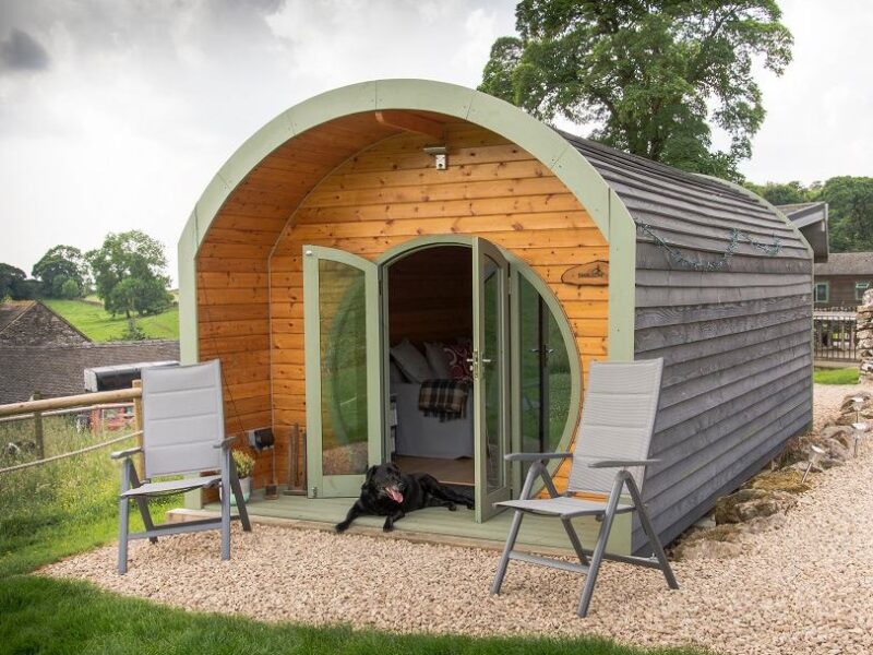 Dog-friendly holidays