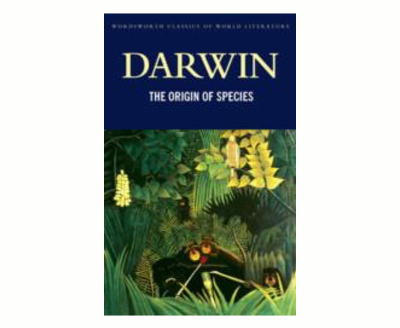 Darwin's theory of natural selection issued a profound challenge to orthodox thought and belief: no being or species has been specifically created; all are locked into a pitiless struggle for existence, with extinction looming for those not fitted for the task.