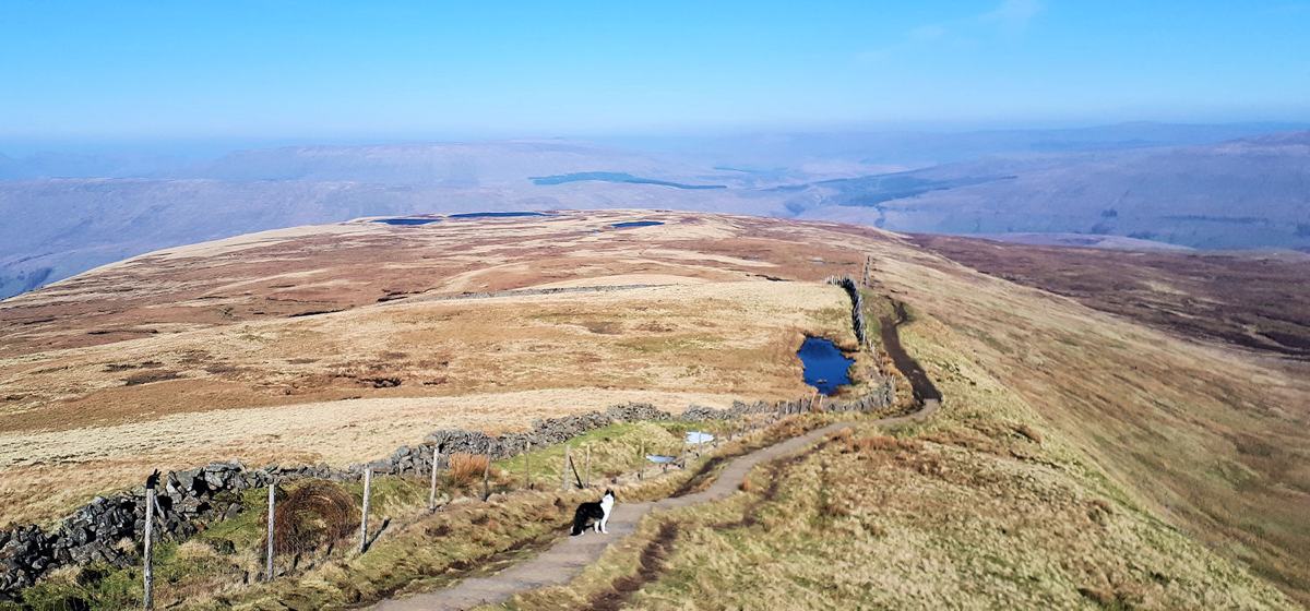 Whernside