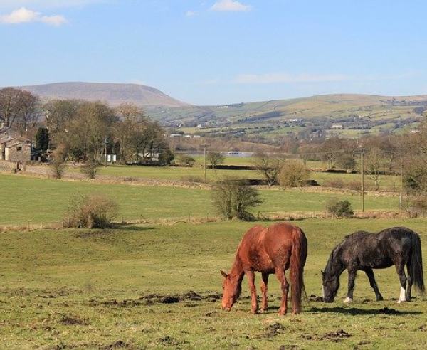Pendle Witches walk, Lancashire - The Outdoor Guide