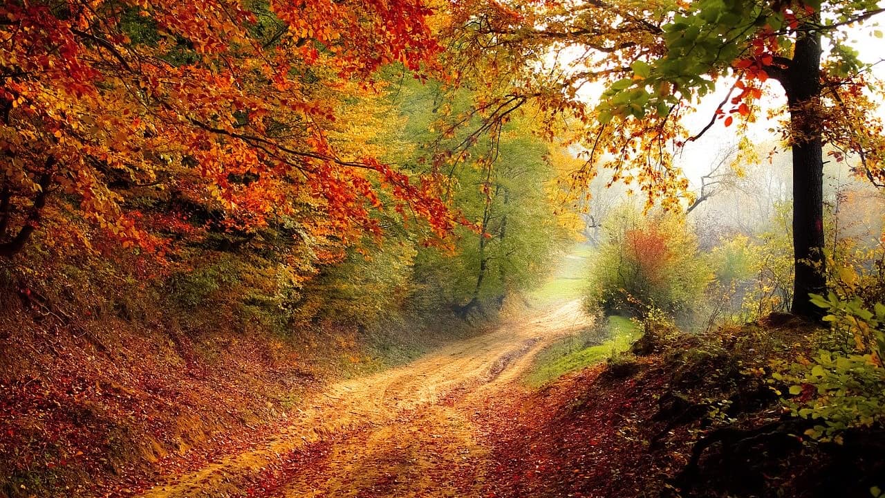 Get Walking this Autumn