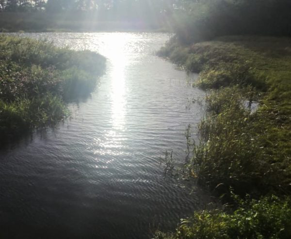 Pulborough WildArt Trail is a 4km interactive trail between Pulborough RSPB Wild Brooks and Pulborough Station