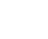 whale and dolphin conservation