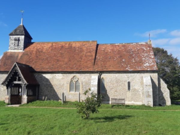 Binsted Woods Feature Binsted Woods