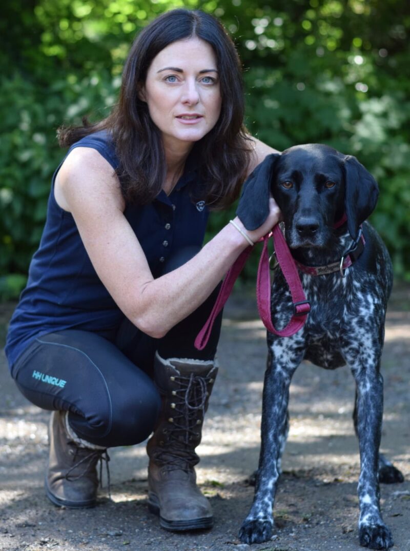 Should Dogs Be Kept on Leads? The British Public are Divided The