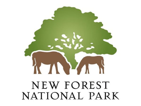 New Forest Walk