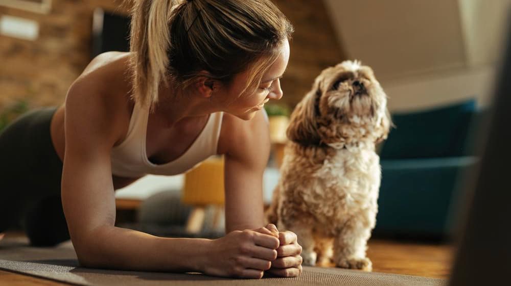 Fun Exercises To Do With Your Dog