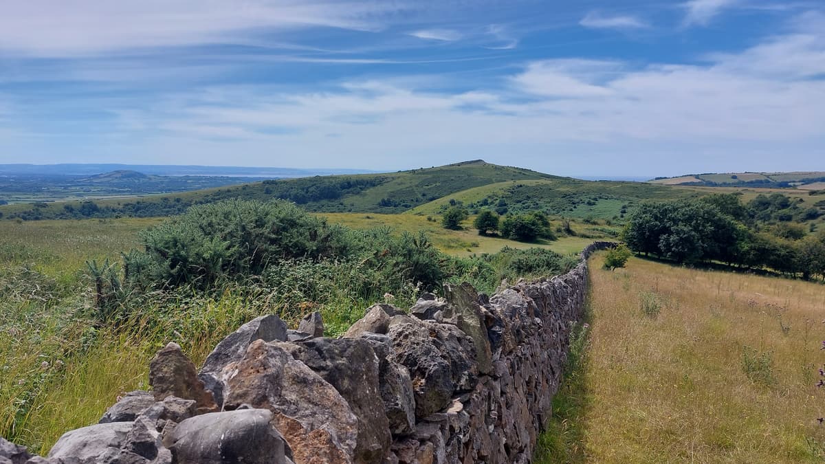 The drystone walls of the Mendip Hills
