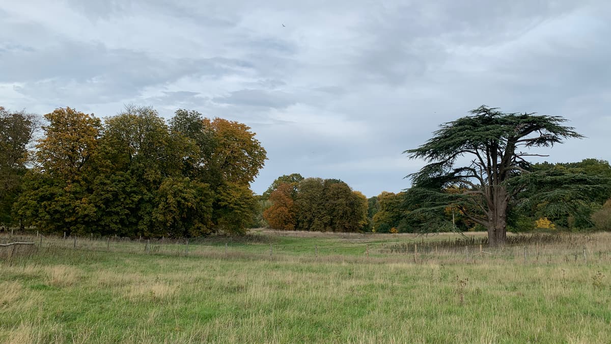 Discover Capability Brown
