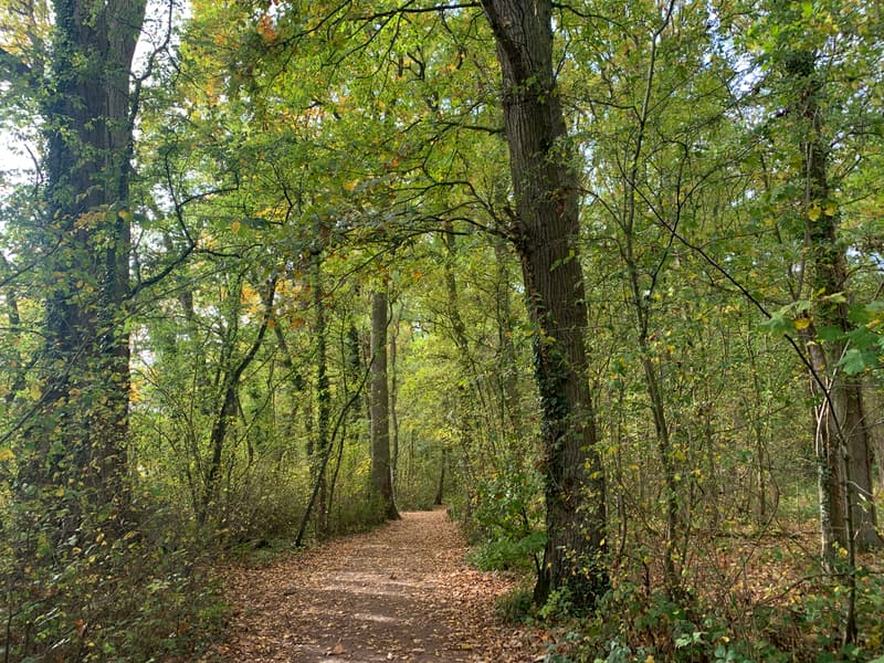There are some designated trails in the park that take in the different areas from the deer park to the woodland and lakeside. The paths are accessible for all and great for little boots to explore.