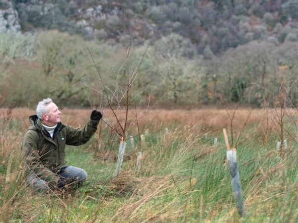 Planting for the future
