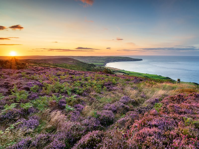 Yorkshires Instagrammable Hotspots