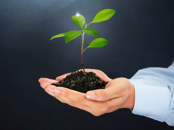 Sustainability Books Feature Sustainability