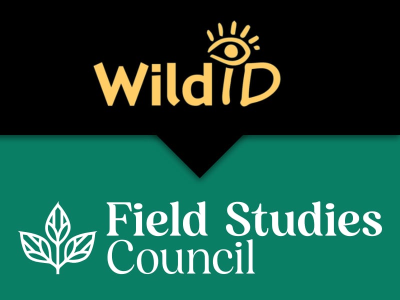 WildID | Field Studies Council