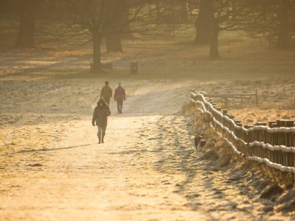 Winter Walks Feature Winter Walks