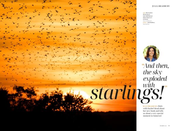 Somerset Life December 2023