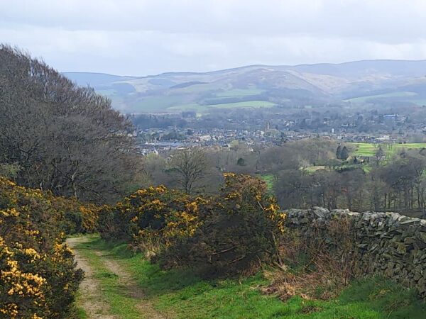 Peebles to Collie Law