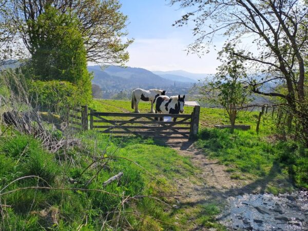 Peebles Haylodge Park