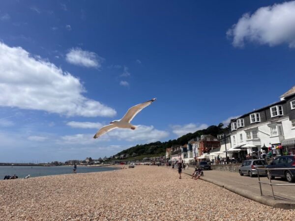 Lyme Regis Walk Feature Lyme Regis Walk