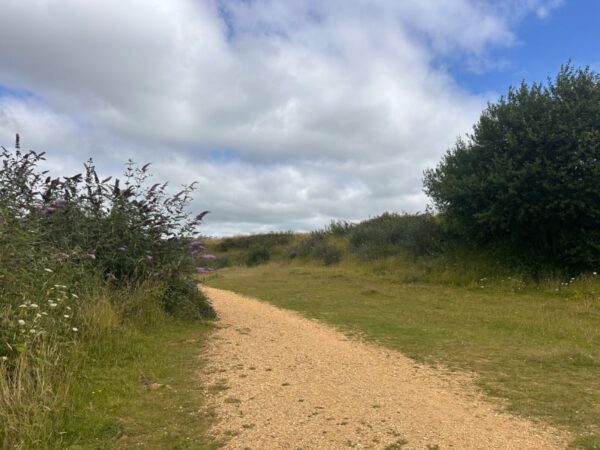 Ham Hill Country Park Explorer