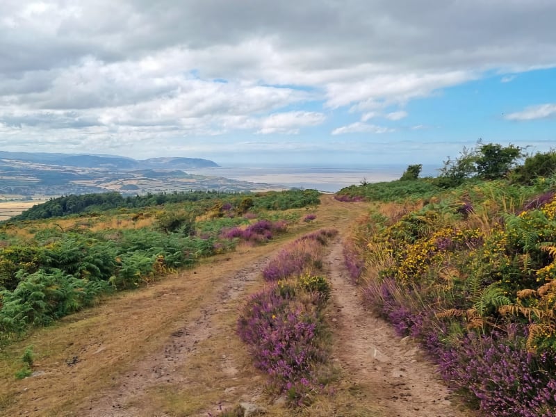 Exmoor Coast Festival