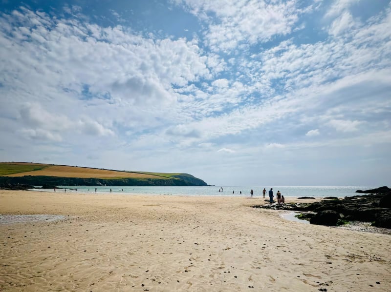 Mothecombe Sea Swim Walk