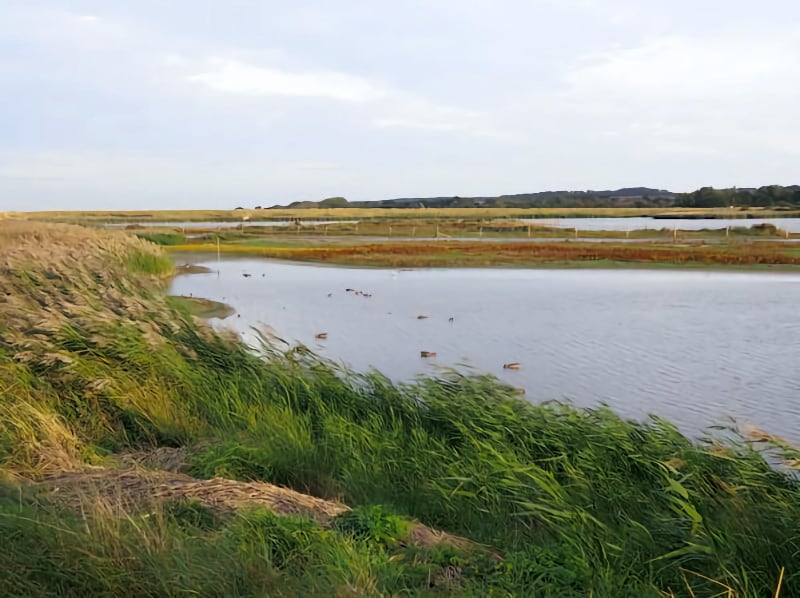 Titchwell Marsh