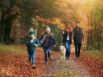 Family-Friendly Walks