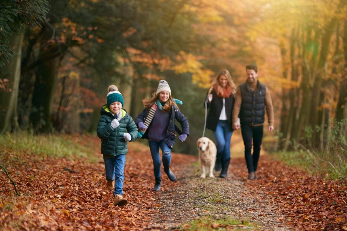 Family-Friendly Walks