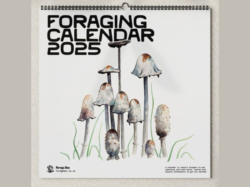 Calendar 2025