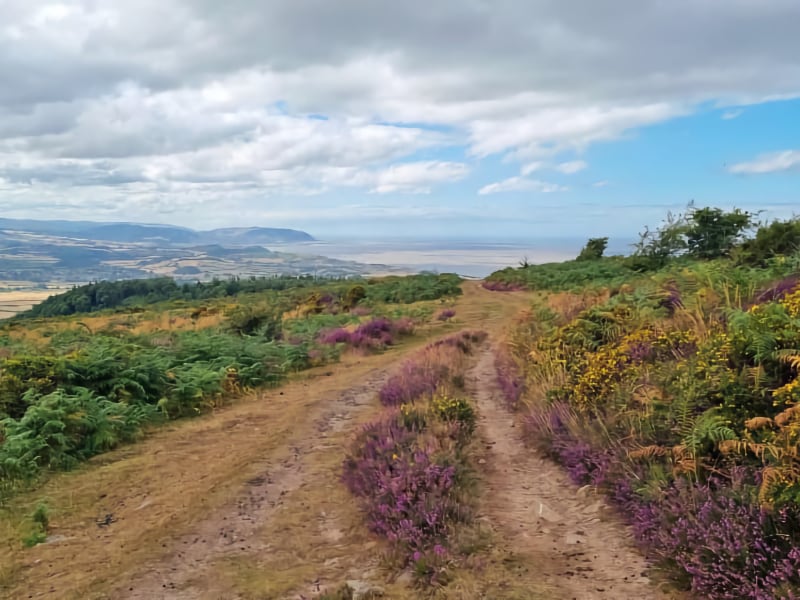 If there’s one thing we like more than going for a walk, it’s going for one that offers a bit of drama. Whether it’s towering cliffs, breathtaking views ...