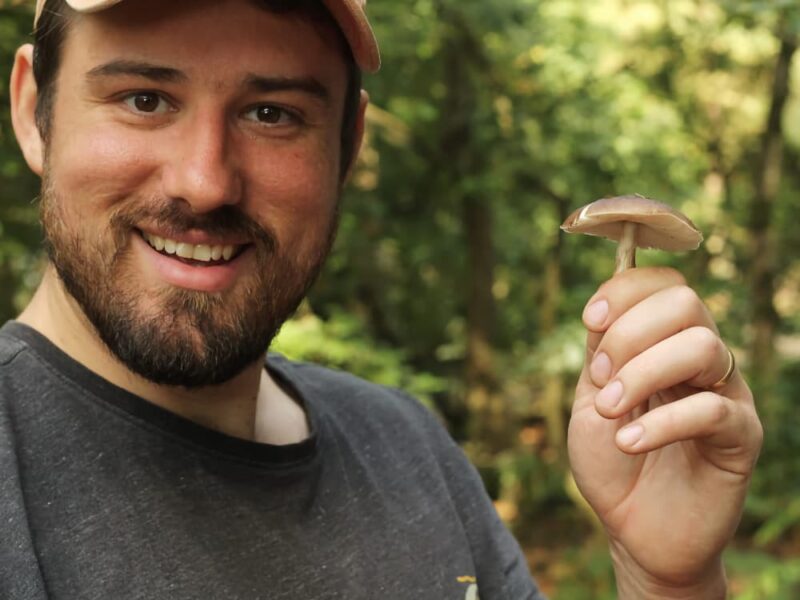 Forage and Nibble