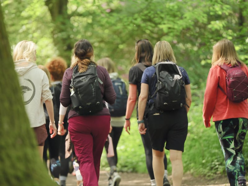 Haughmond Hill Walk