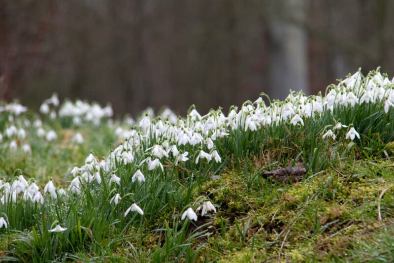 Stepping into Spring with The Outdoor Guide - The Outdoor Guide