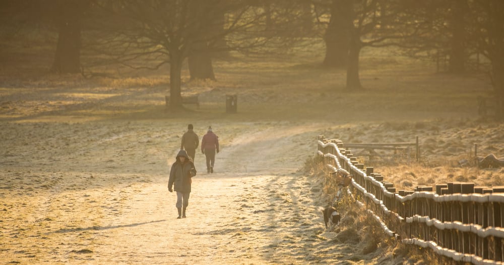 Winter Walks