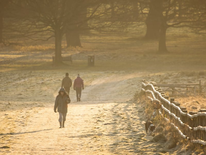 Winter Walks