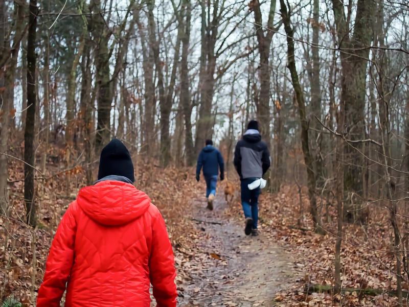 Boxing Day Walks