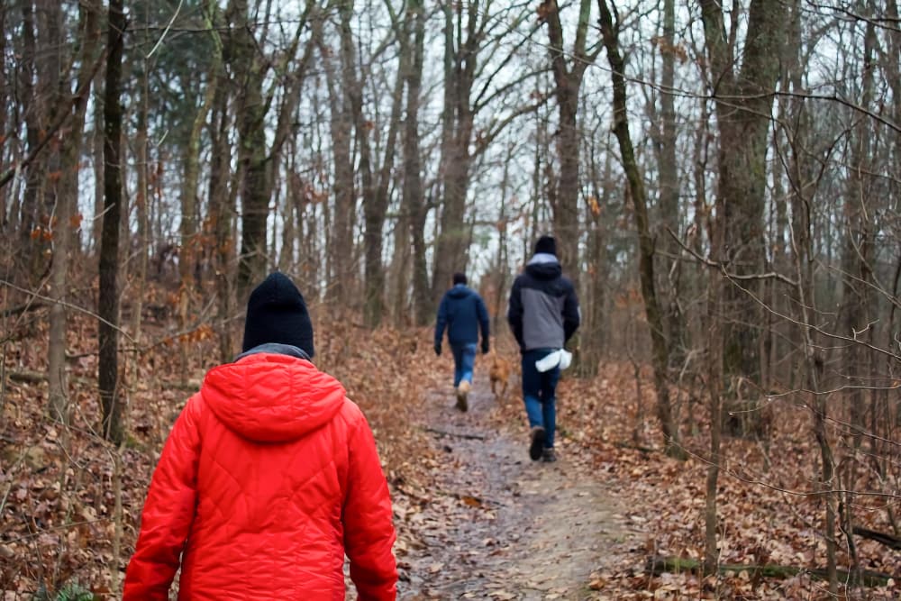 Boxing Day Walks